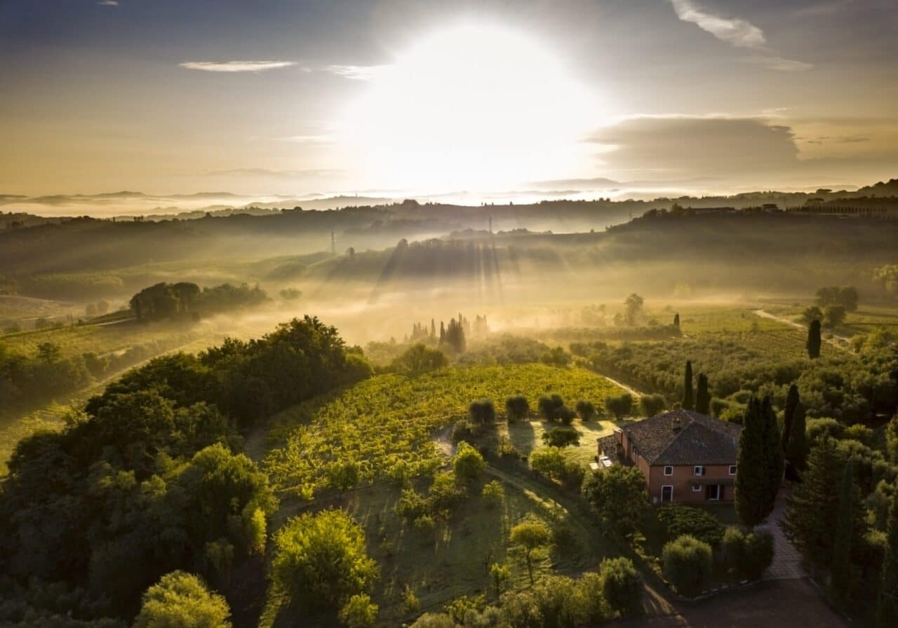 Marina Romin Vini Biologici
